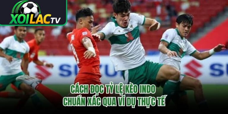 Cách Đọc Tỷ Lệ Kèo Indo Chuẩn Xác Qua Ví Dụ Thực Tế
