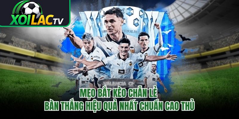 Mẹo Bắt Kèo Chẵn Lẻ Bàn Thắng Hiệu Quả Nhất Chuẩn Cao Thủ