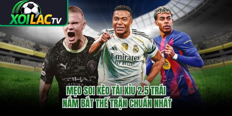 Mẹo Soi Kèo Tài Xỉu 2.5 Trái Nắm Bắt Thế Trận Chuẩn Nhất