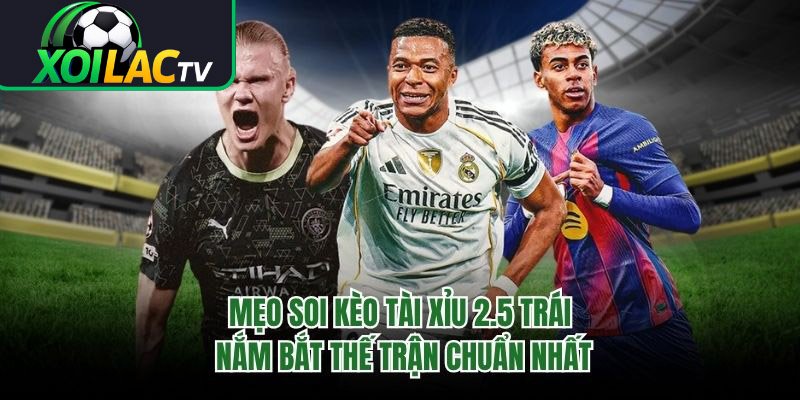 Mẹo Soi Kèo Tài Xỉu 2.5 Trái Nắm Bắt Thế Trận Chuẩn Nhất