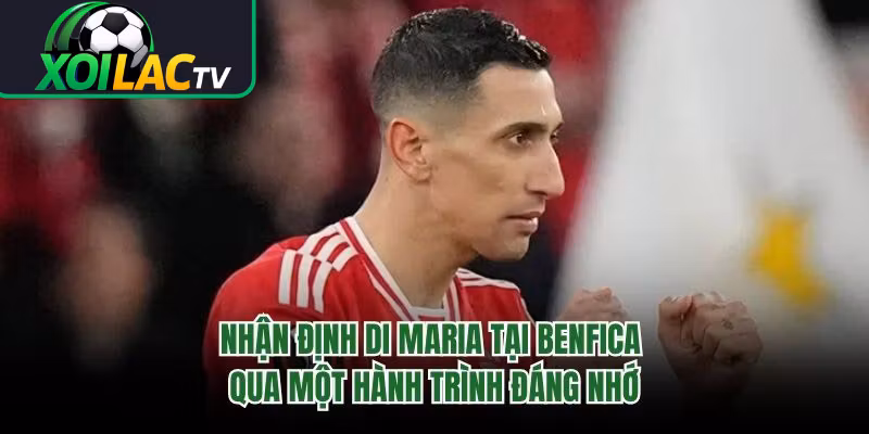 Nhận Định Di Maria Tại Benfica Qua Một Hành Trình Đáng Nhớ