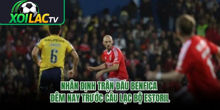 Nhận Định Trận Đấu Benfica Đêm Nay Trước Câu Lạc Bộ Estoril