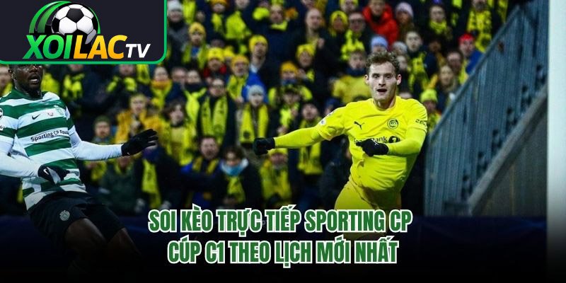 Soi Kèo Trực Tiếp Sporting CP Cúp C1 Theo Lịch Mới Nhất