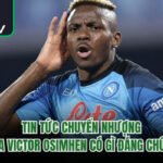 Tin Tức Chuyển Nhượng Của Victor Osimhen Có Gì Đáng Chú Ý?