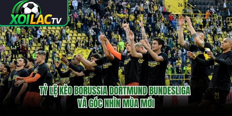 Tỷ Lệ Kèo Borussia Dortmund Bundesliga Và Góc Nhìn Mùa Mới