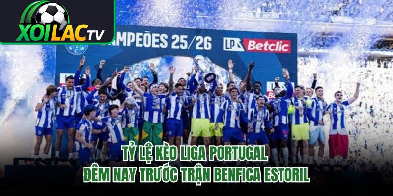 Tỷ Lệ Kèo Liga Portugal Đêm Nay Trước Trận Benfica Estoril