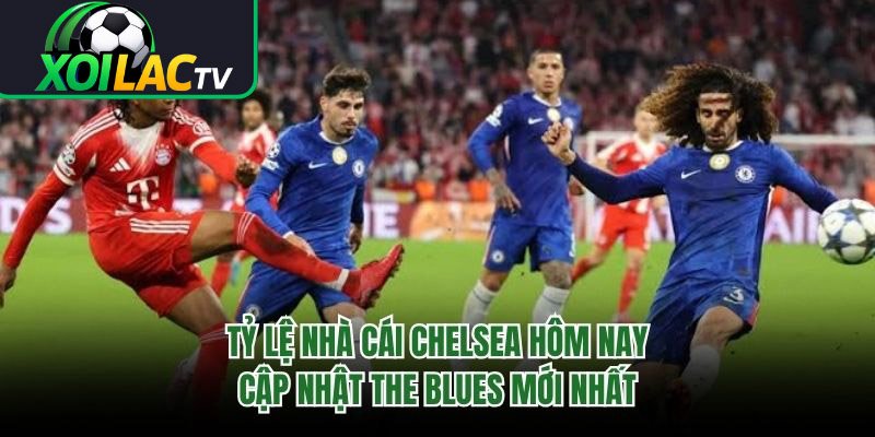 Tỷ Lệ Nhà Cái Chelsea Hôm Nay – Cập Nhật The Blues Mới Nhất